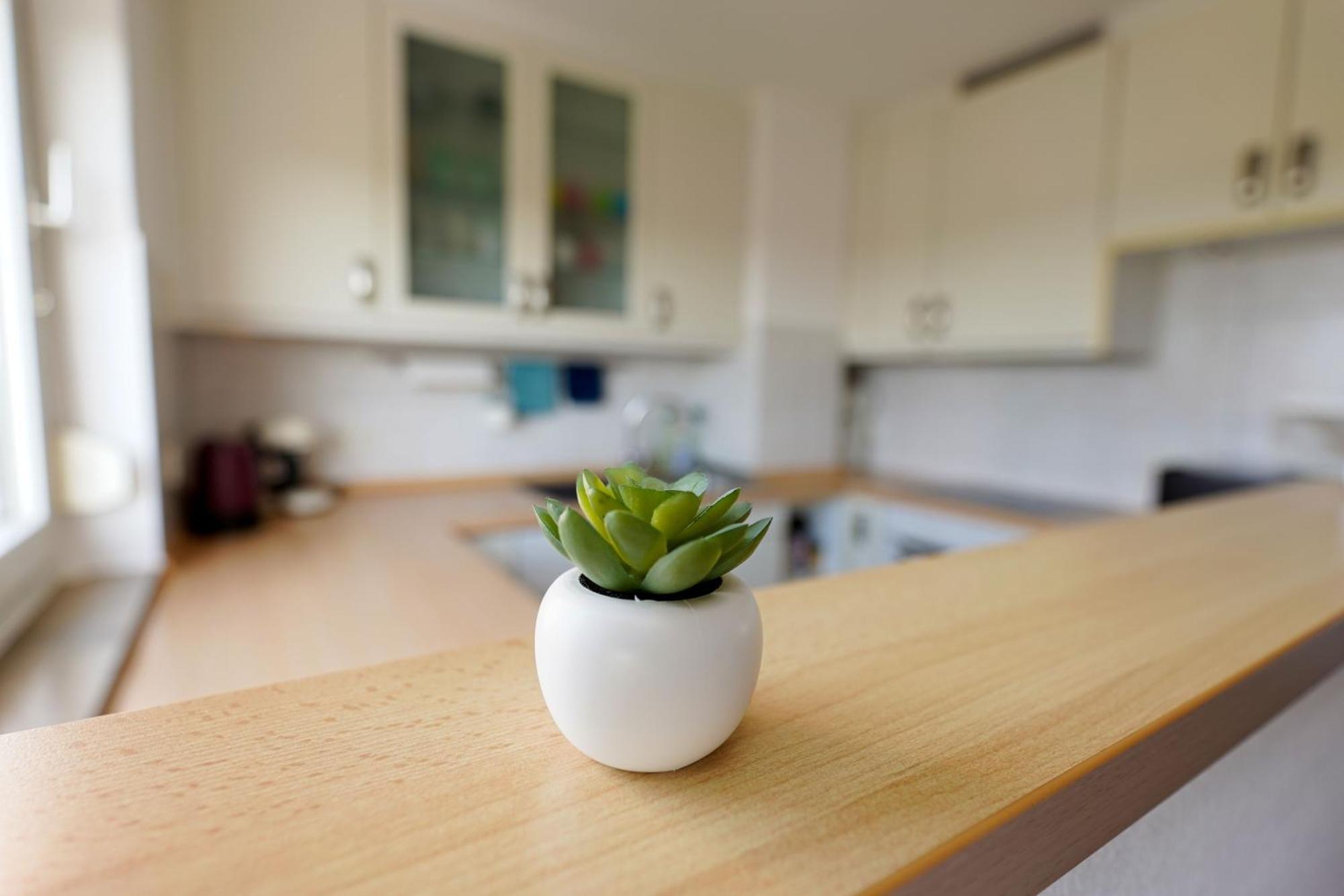 ויינהיים Tolle Wohnung Mit Panoramablick מראה חיצוני תמונה
